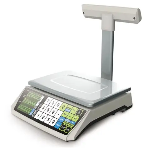 Digital Retail Scale